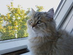 Luca4