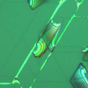 extracted bitmap