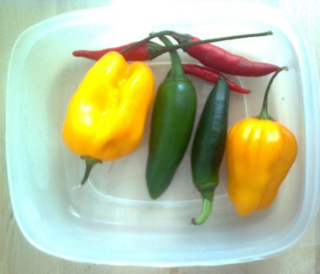 chilies
